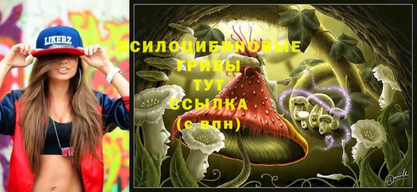 СК Абинск