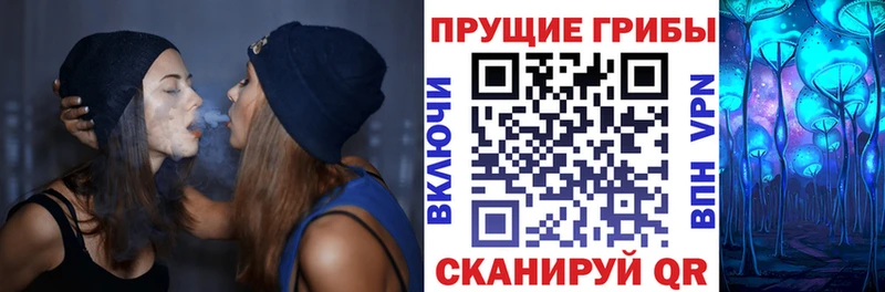 Галлюциногенные грибы Psilocybe  Кызыл 