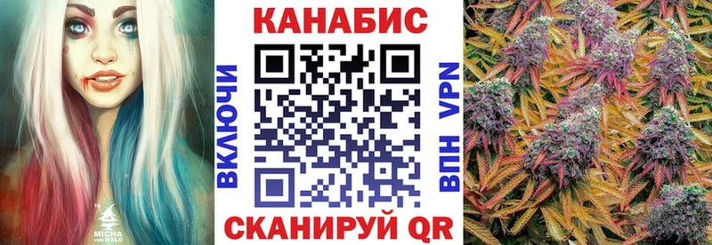 Каннабис гибрид  Кызыл 